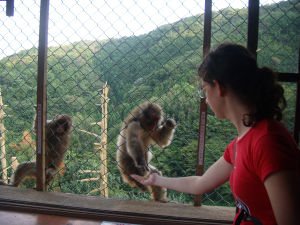 Japan (Aug 25- Sept 10 09) - Kyoto - Iwatayama Monkey Park - I feed a monkey