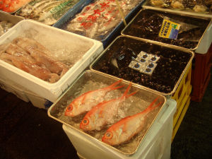 Japan (Aug 25- Sept 10 09) - Tokyo - Tsukiji Fish Market - Even more fish