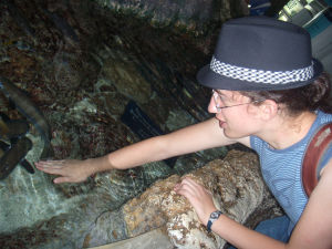 Singapore (Sept 10-17 09) - Sentosa Underwater World - I pet some underwater creatures, take 4