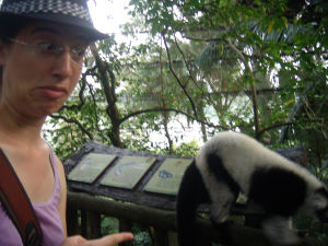 Singapore (Sept 10-17 09) - Singapore Zoo - Me and a lemur